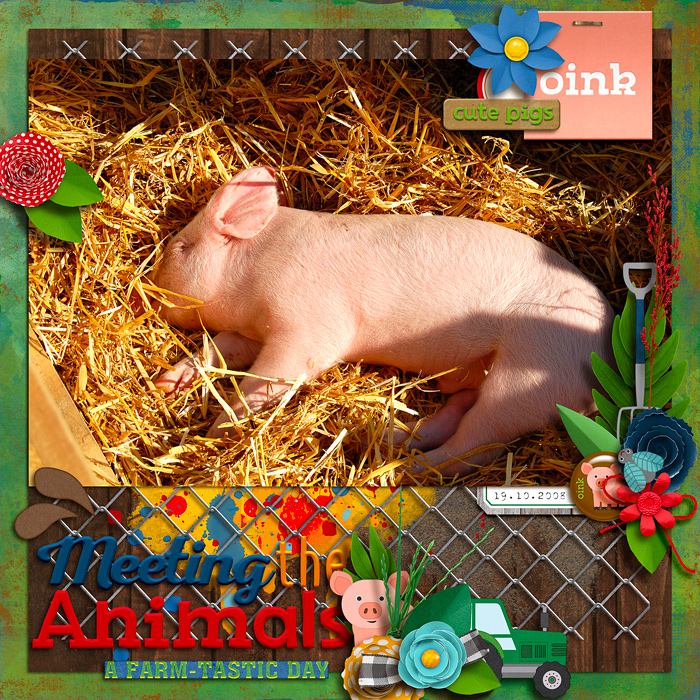 Meeting the animals