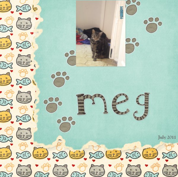Meg 2011
