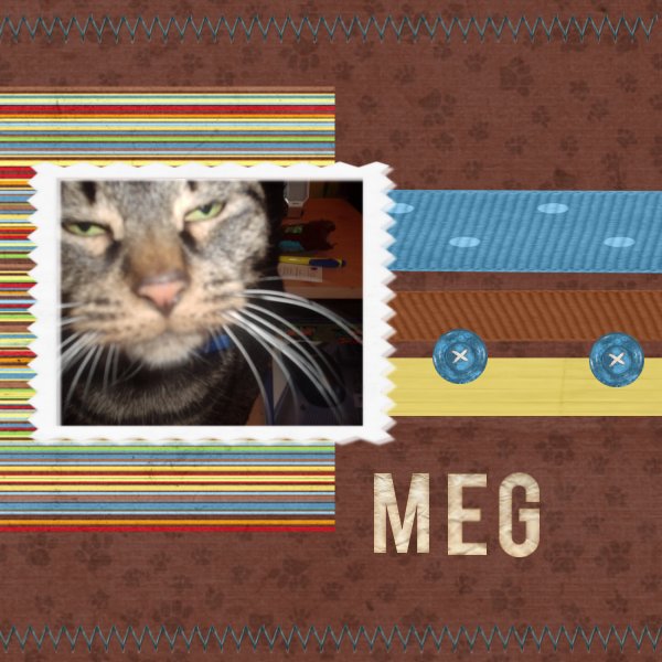 meg