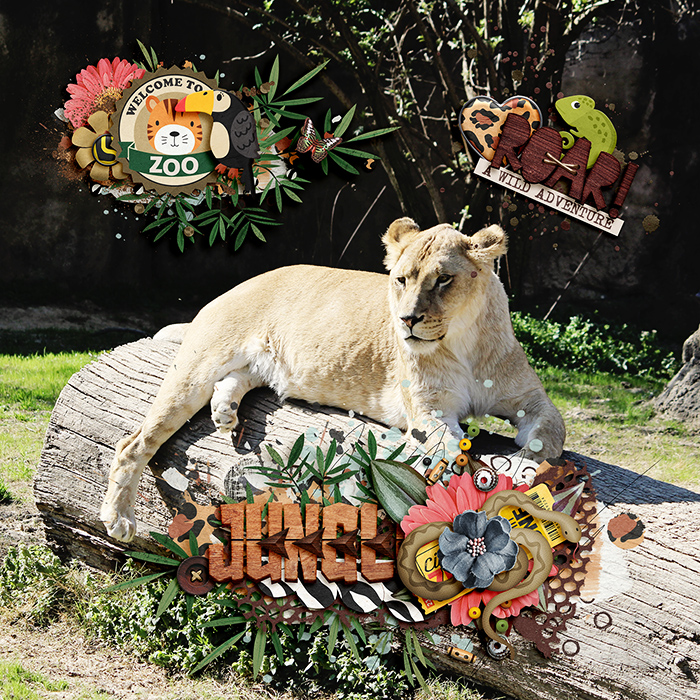 Memphis Zoo- 2012