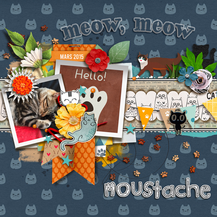 Meow, meow