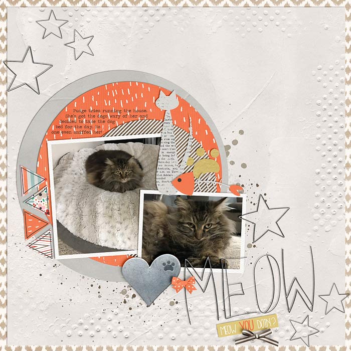 ~Meow You Doing~