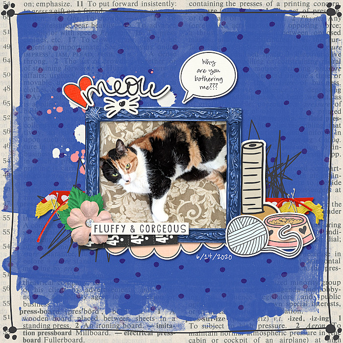 Meow