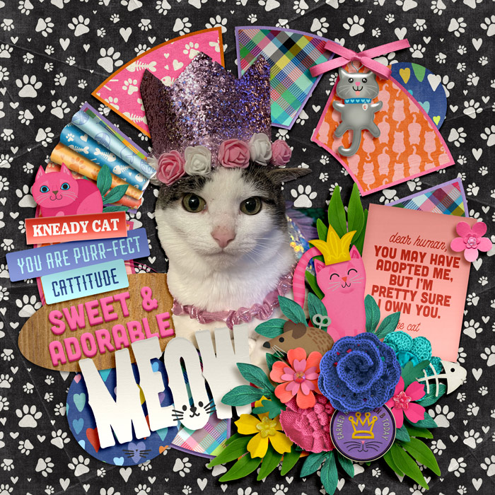 meow