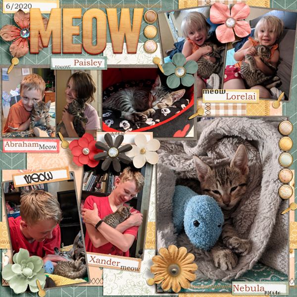 Meow