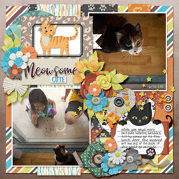 Meowsome Cute