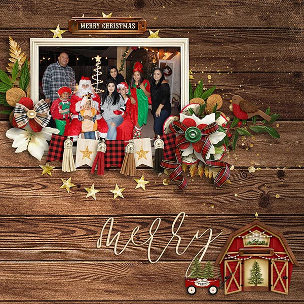 Merry Christmas