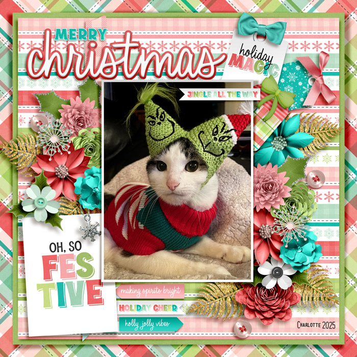 merry Christmas