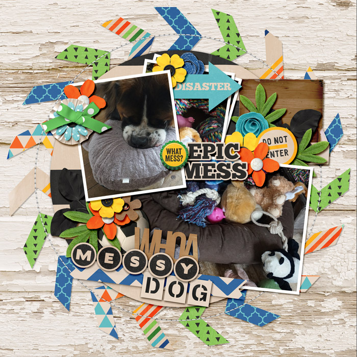 Messy Dog