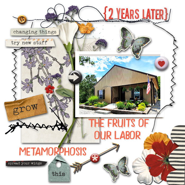 Metamorphosis