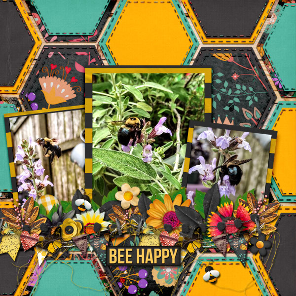 MFish_RetireApril2021_preview