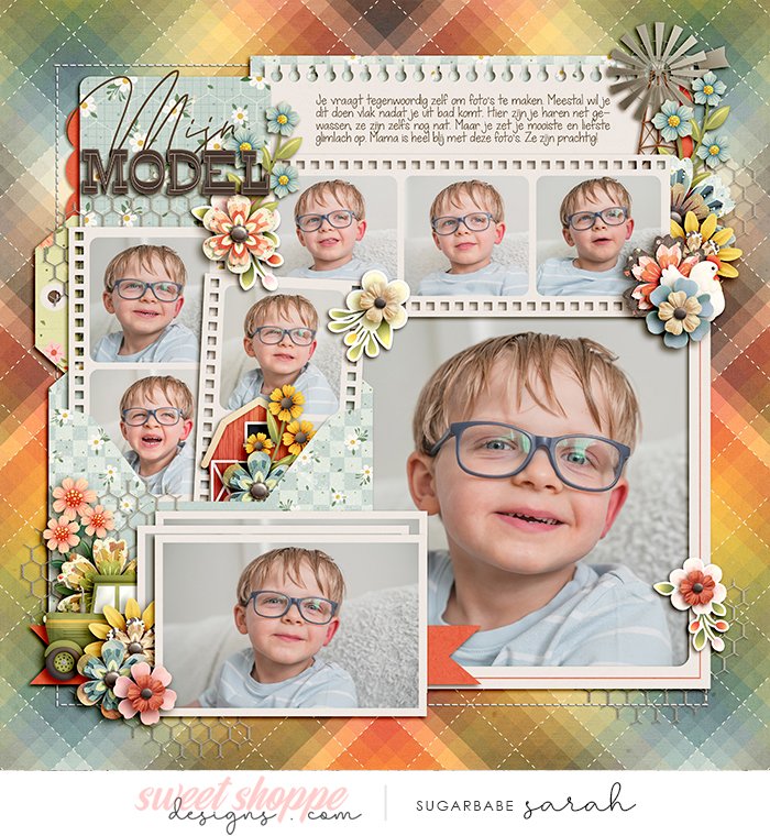 Mijn model