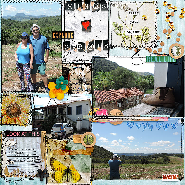 Minas Gerais