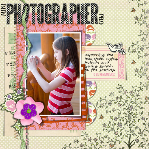 Mini Photographer