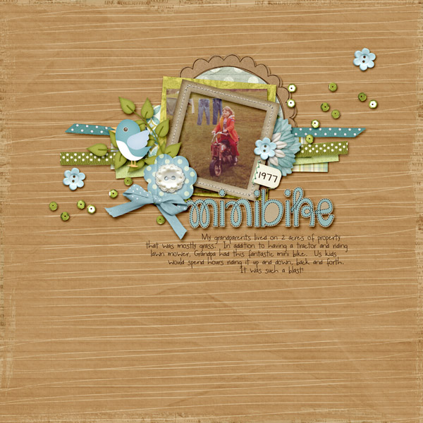 Minibike