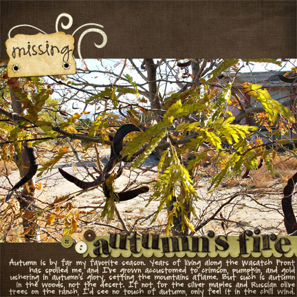 missing autumn's fire