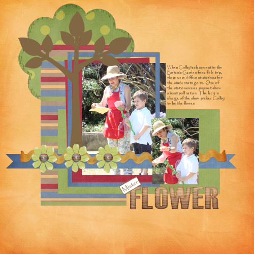 Mister Flower