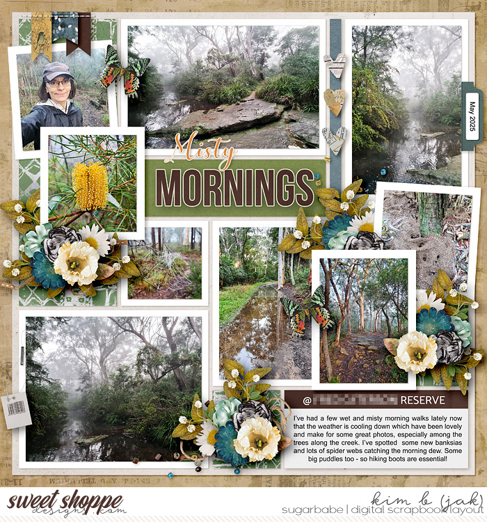 Misty Mornings