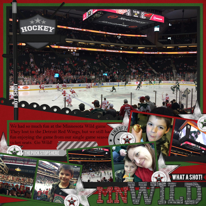 MN Wild