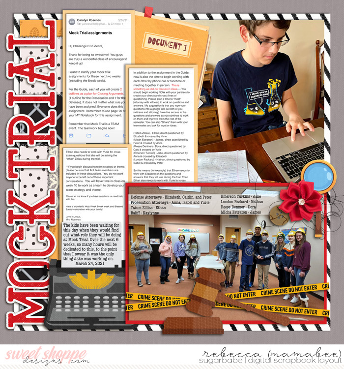 Mock Trial assignment
