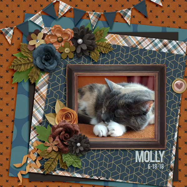 Molly-Pop 6.18.18
