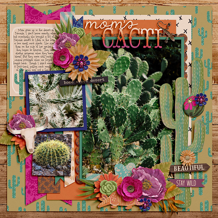 Mom's Cacti