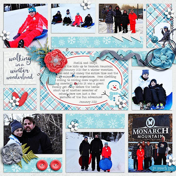 monarch Winter