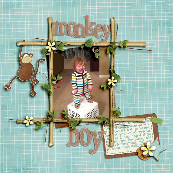 Monkey Boy