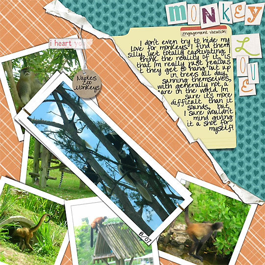 Monkey Love