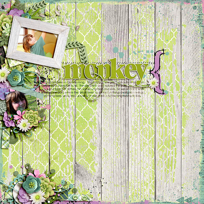 Monkey
