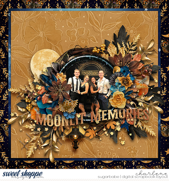 Moonlit Memories