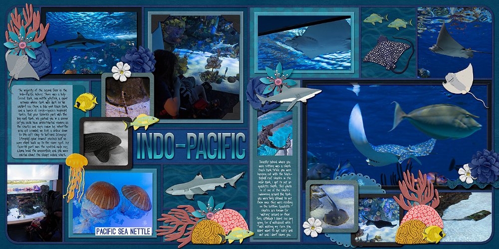 Mote SEA - Indo-Pacific exhibit