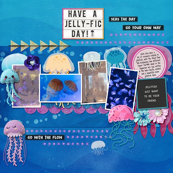 Mote Sea - jellyfish