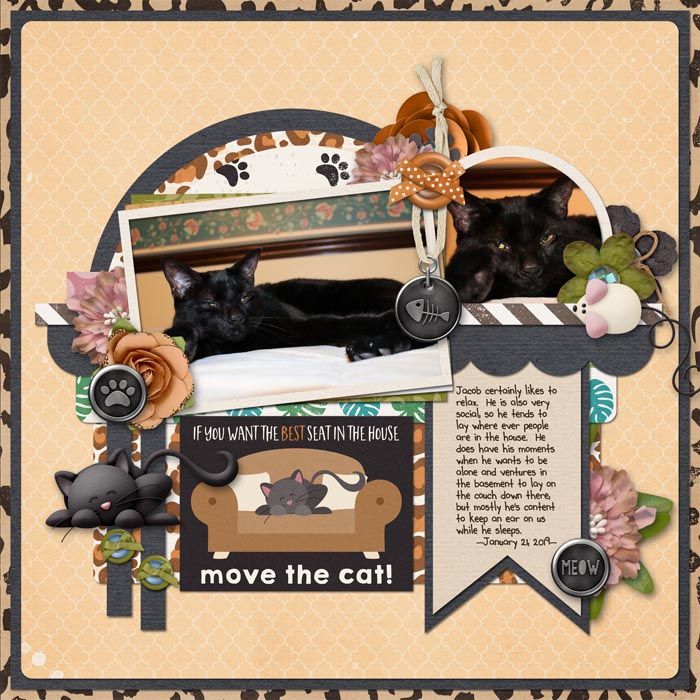 Move the Cat