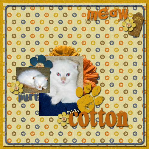 Mr Cotton