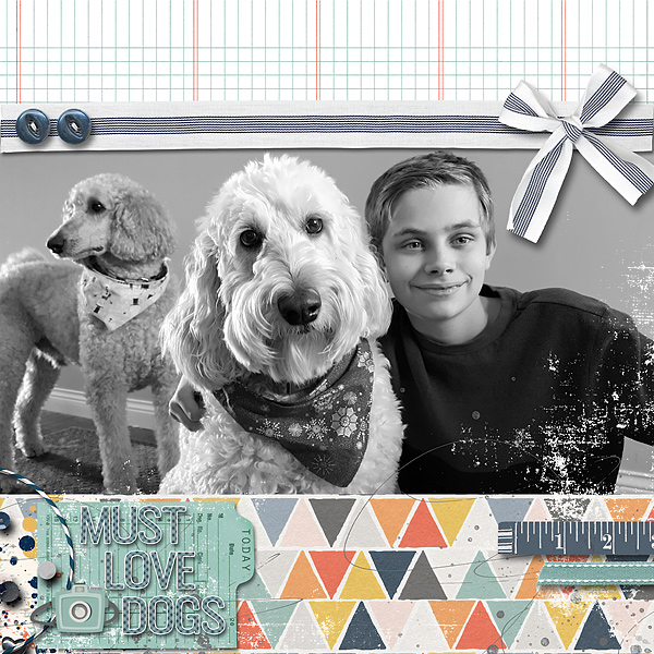 Must Love Dogs