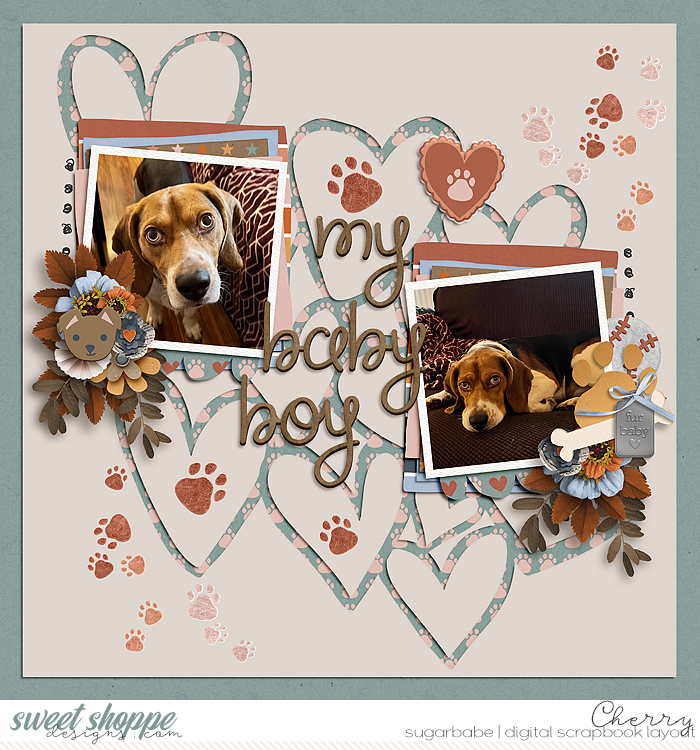 My Baby Boy