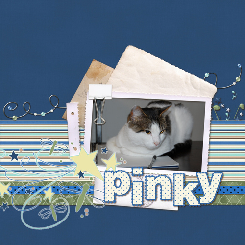 My cat pinky