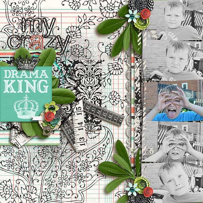 My Crazy Drama King