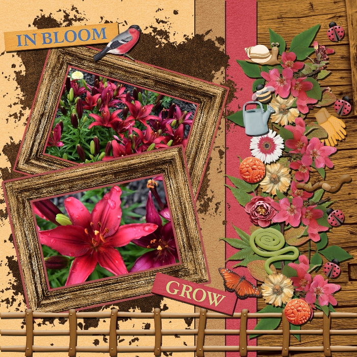My Flower