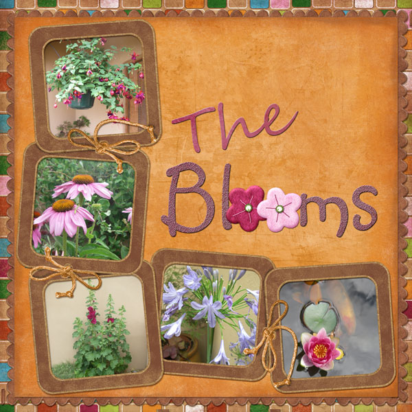 My Garden 1