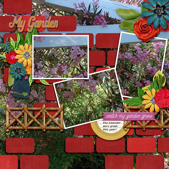 My Garden