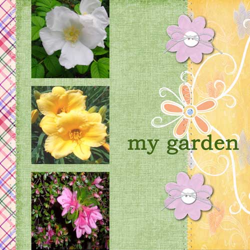 My Garden