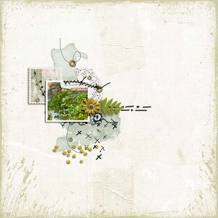 my herbs
