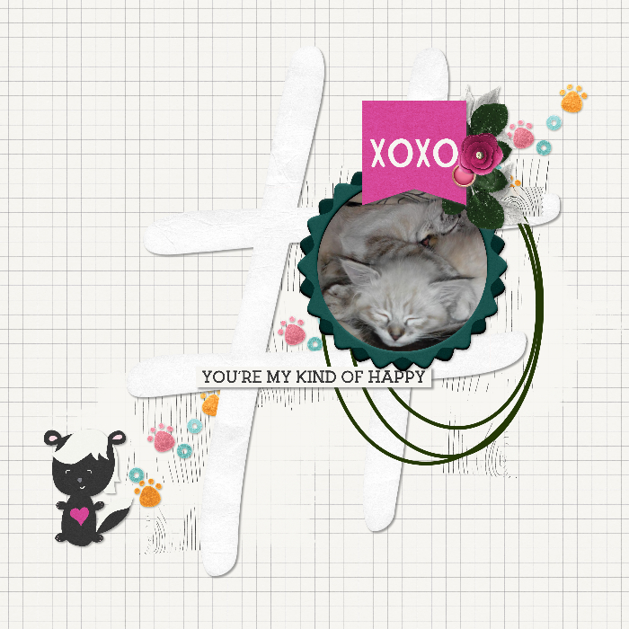 My kitties