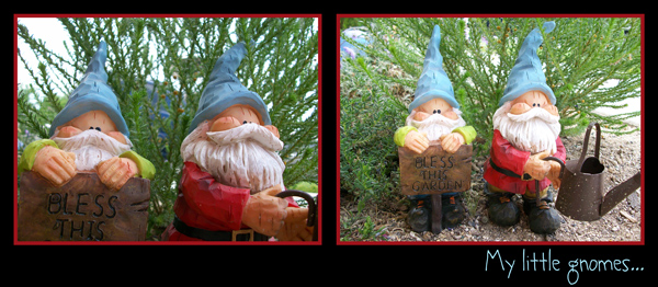 My Little Gnomes