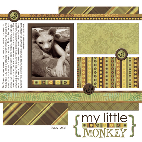 My Little Monkey