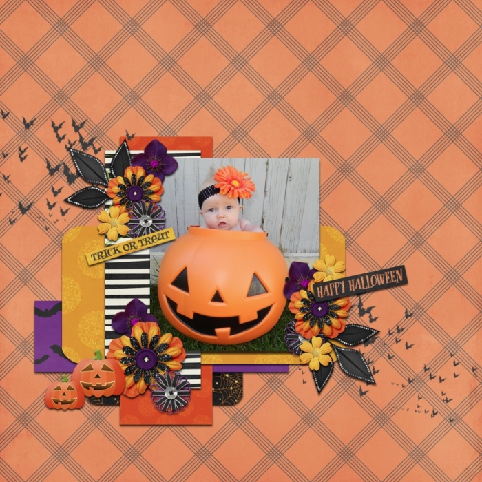 my little pumpkin