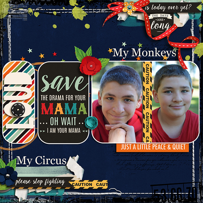 My Monkeys My Circus