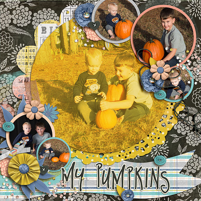 My Pumpkins